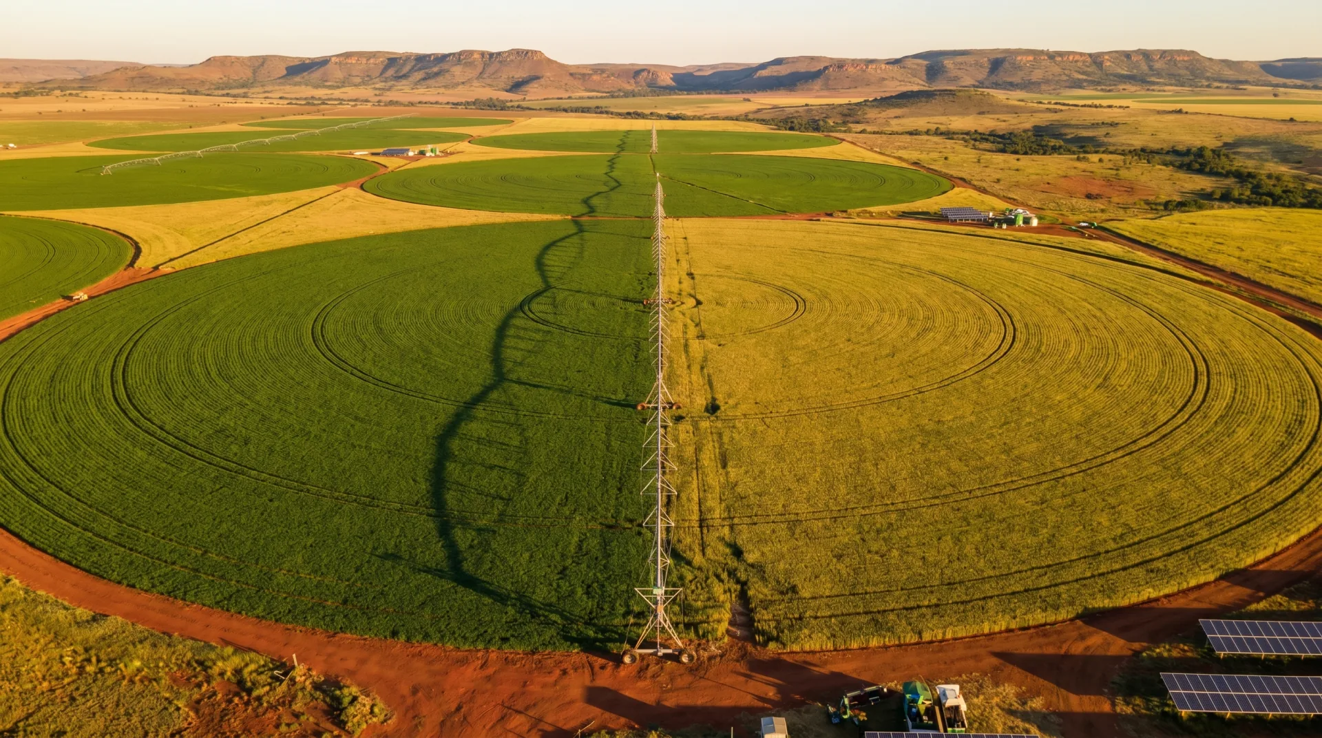 Agricultural & Environmental Sciences